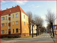 cms_53708bd822566